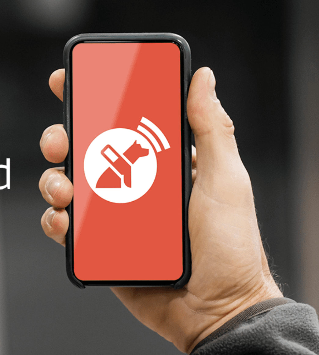 Imagen de la aplicación Lazarillo GPS